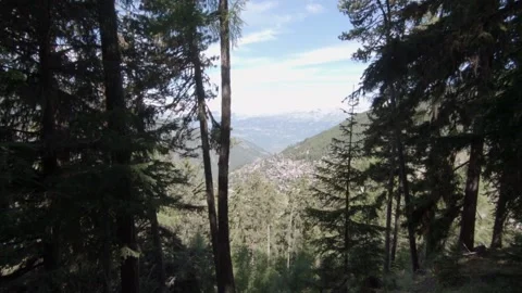 Alpine village through the trees Видео 158681697