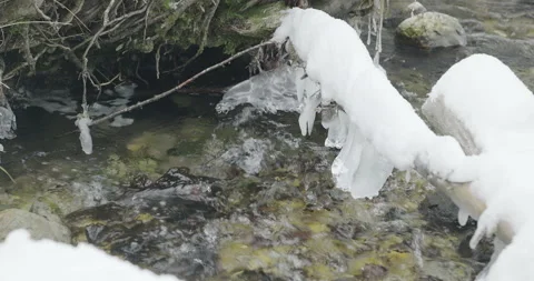 Alpine water flow under tree roots on a freezing winter day Stock Footage 231732671