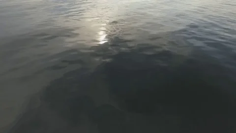 Alpine water Видео 80553375