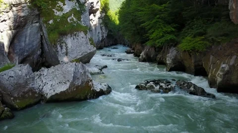 Alpine water stream Stock Footage 295840324