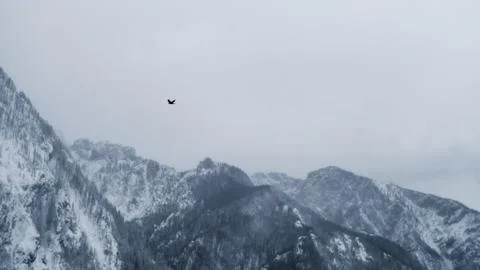 Alpine winter Stock Photos