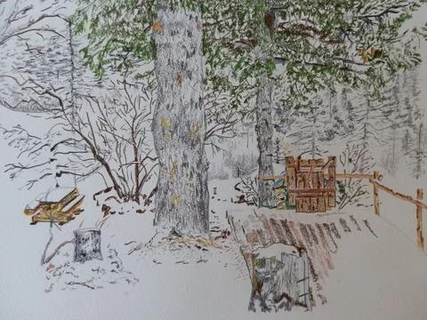 Alpine woods in winter Stock Illustration