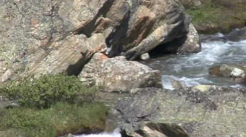 AlpineStream 1 스톡 동영상 7929722