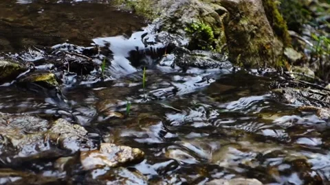 AlpineStream3 Stock-Footage 164975950