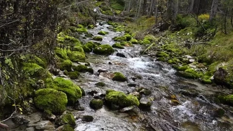 AlpineStream4 Stockbeeldmateriaal 164976050