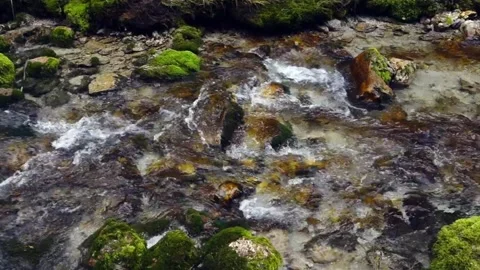 AlpineStream5 Stock-Footage 164976061