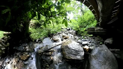 Alps 360effect A fresh creek in the forest with a wooden bridge Stock Footage 94364527