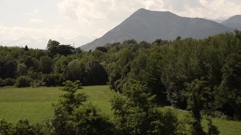 Alps and forest Video stock 94559944