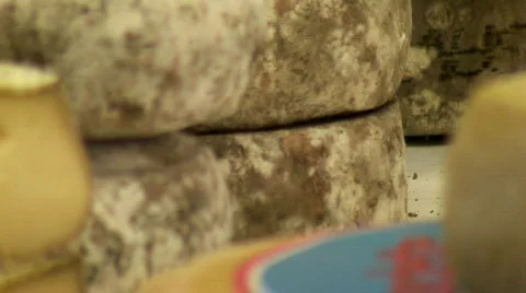 Alps cheeses Stock Footage 113876