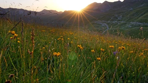 Alps during sunset. Bright orange beams of sun appearing from behind a mountain 스톡 동영상 114063654