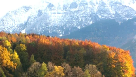 Alps in fall 動画素材 85685334
