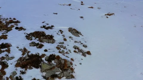 Alps Video stock 102728056