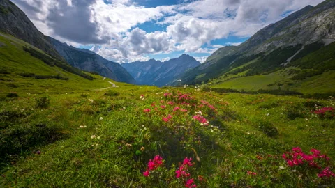 Alps mountain meadow time lapse Stock-Footage 138899023