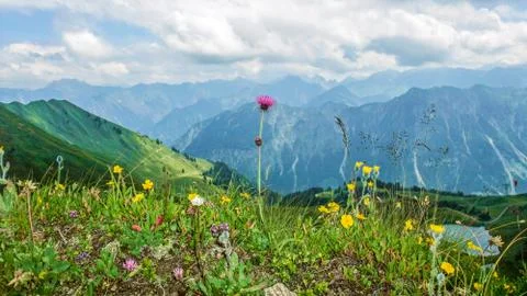 Alps mountain top Stock Photos