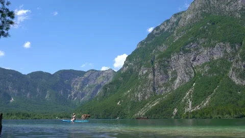 Alps mountains covered with green dense forest Stock Footage 158016733