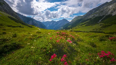 Alps mountains meadow view 4k 스톡 동영상 138319583