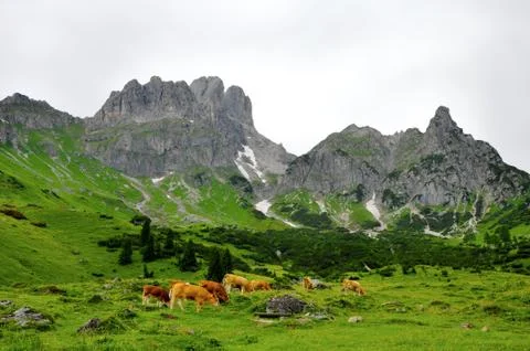 Alps panorama Stock Photos