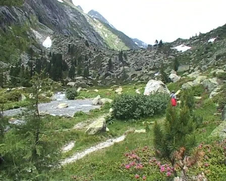 Alps river scenic Vídeo Stock 71010