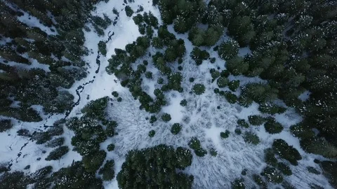 Alps Snow forest winter 1 Stock Footage 88361037