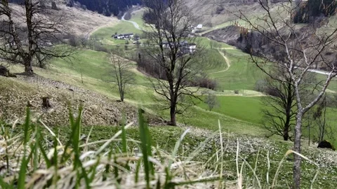 Alps spring view from green grass valley to glacier with snow covered mountains. Stock Footage 306287583
