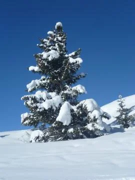 Alps in winter - 07 Stock Photos