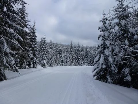 Alps in winter Stock Photos