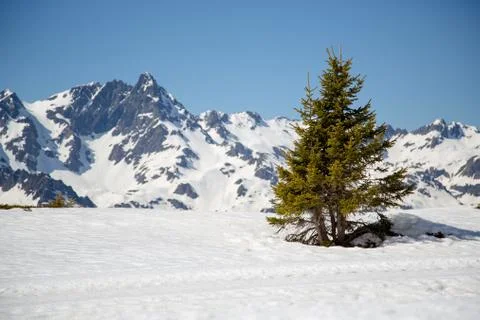 Alps in winter Stock Photos