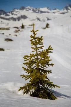 Alps in winter Stock Photos