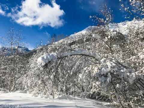 Alps in winter Stock Photos