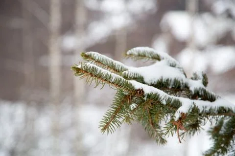 Alps in winter Stock Photos