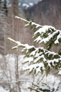 Alps in winter Stock Photos