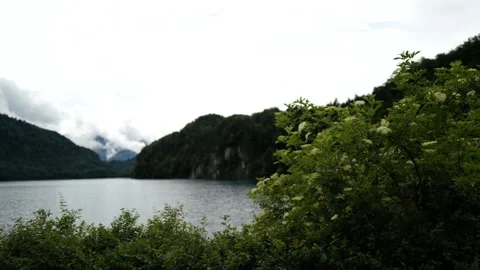 Alpsee, Germany, in a cloudy day Stock-Footage 197678371