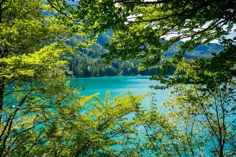 Alpsee lake Stock-Fotos
