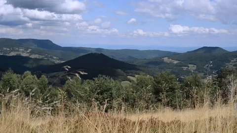Alsace landscape panorama with gently moving grass in summer Stock Footage 101846168