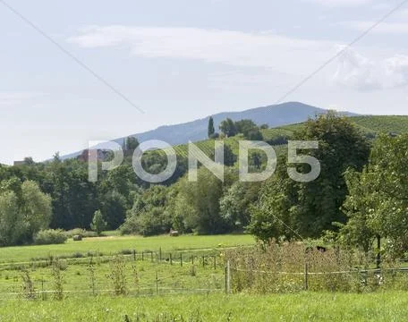 Alsace scenery Stock Photos