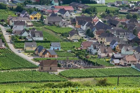 Alsacian vineyard Stock Photos