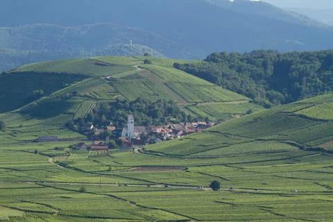 Alsacian vineyard Stock Photos