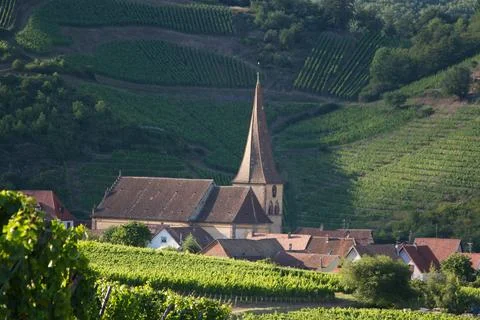 Alsacian vineyard Foto stock