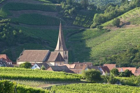 Alsacian vineyard Stock Photos
