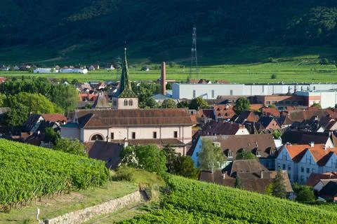 Alsacian vineyard Stock Photos