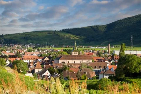 Alsacian vineyard Foto stock
