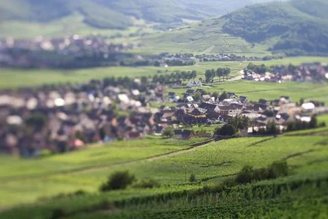 Alsacian vineyard Stock Photos