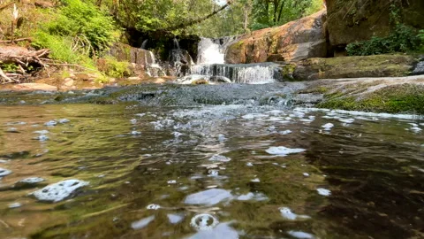 Alsea Falls in Oregon Stock Footage 243804950