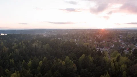 Ålsten Forest Vidéo 109435354