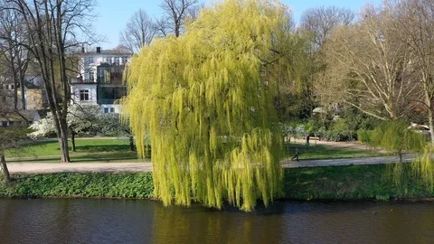 Alster shore Stock Footage 106337792