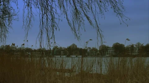 Alster through the tree Stock Footage 44978842