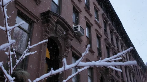 Alt snow falls on branches in front of Brooklyn brownstone houses Видео 329454947