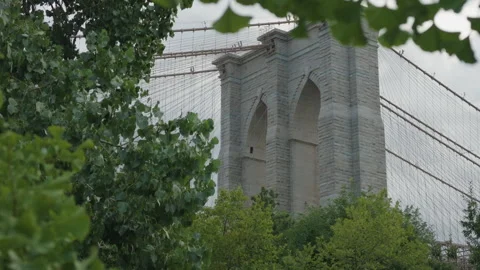 Alt wider low angle view of Brooklyn Bridge tower framed by fluttering leaves Stock Footage 340862919