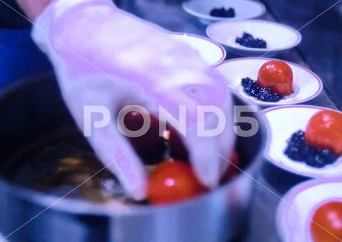 Alta cucina, gourmet food, haute cuisine Stock Photos