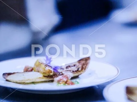 Alta cucina, gourmet food, haute cuisine Stock Photos